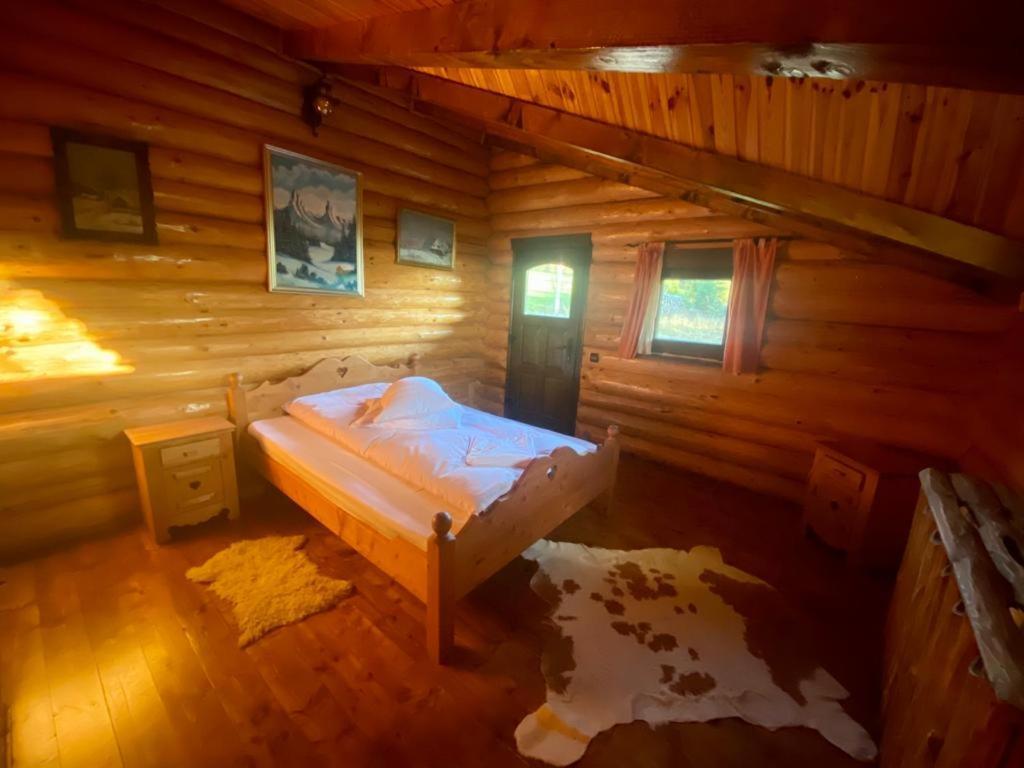 Cabana Vanatorului Rîşnov Buitenkant foto