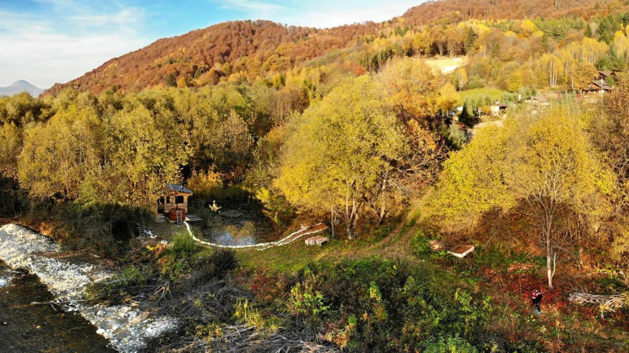 Cabana Vanatorului Rîşnov Buitenkant foto