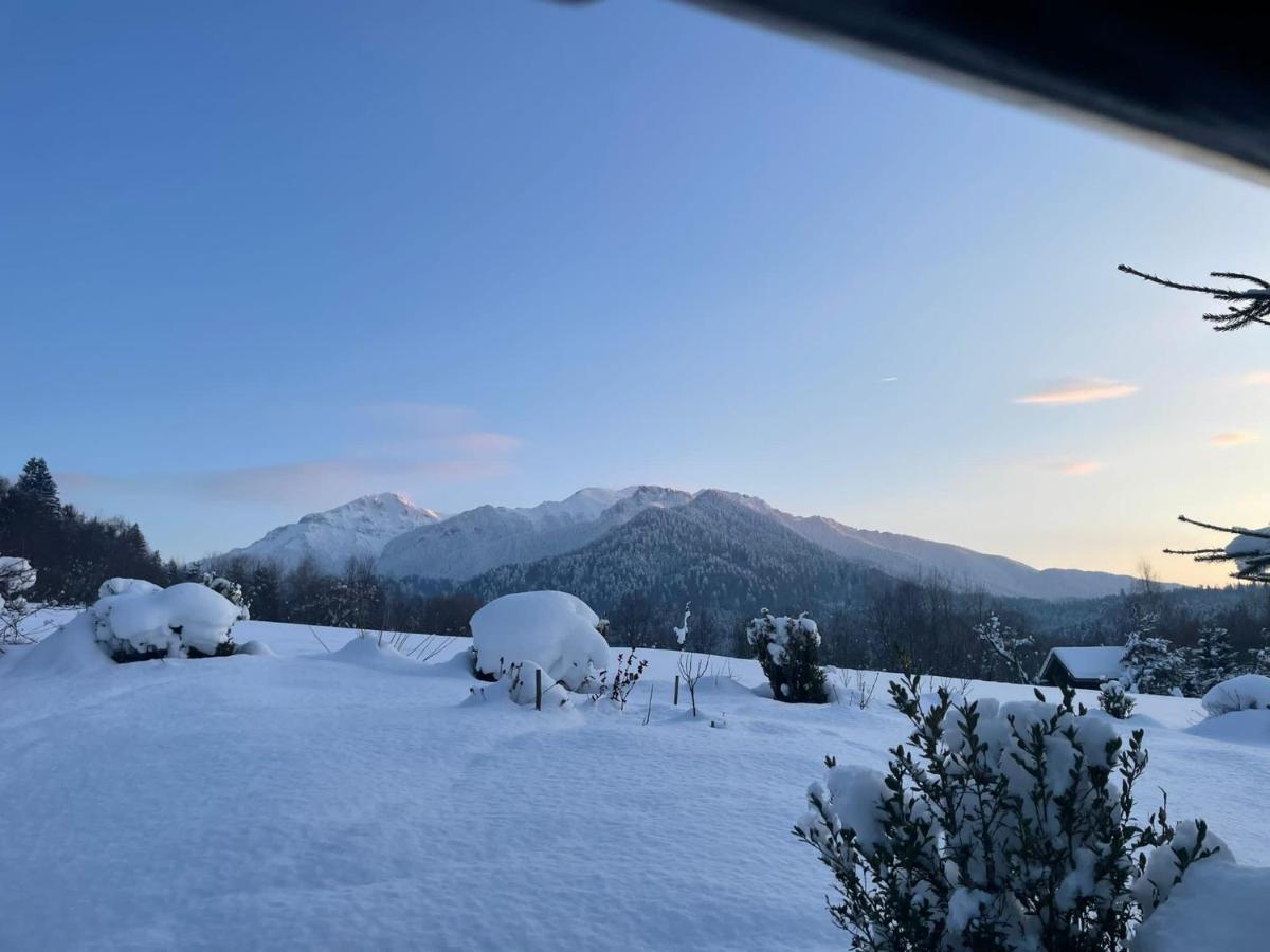 Cabana Vanatorului Rîşnov Buitenkant foto