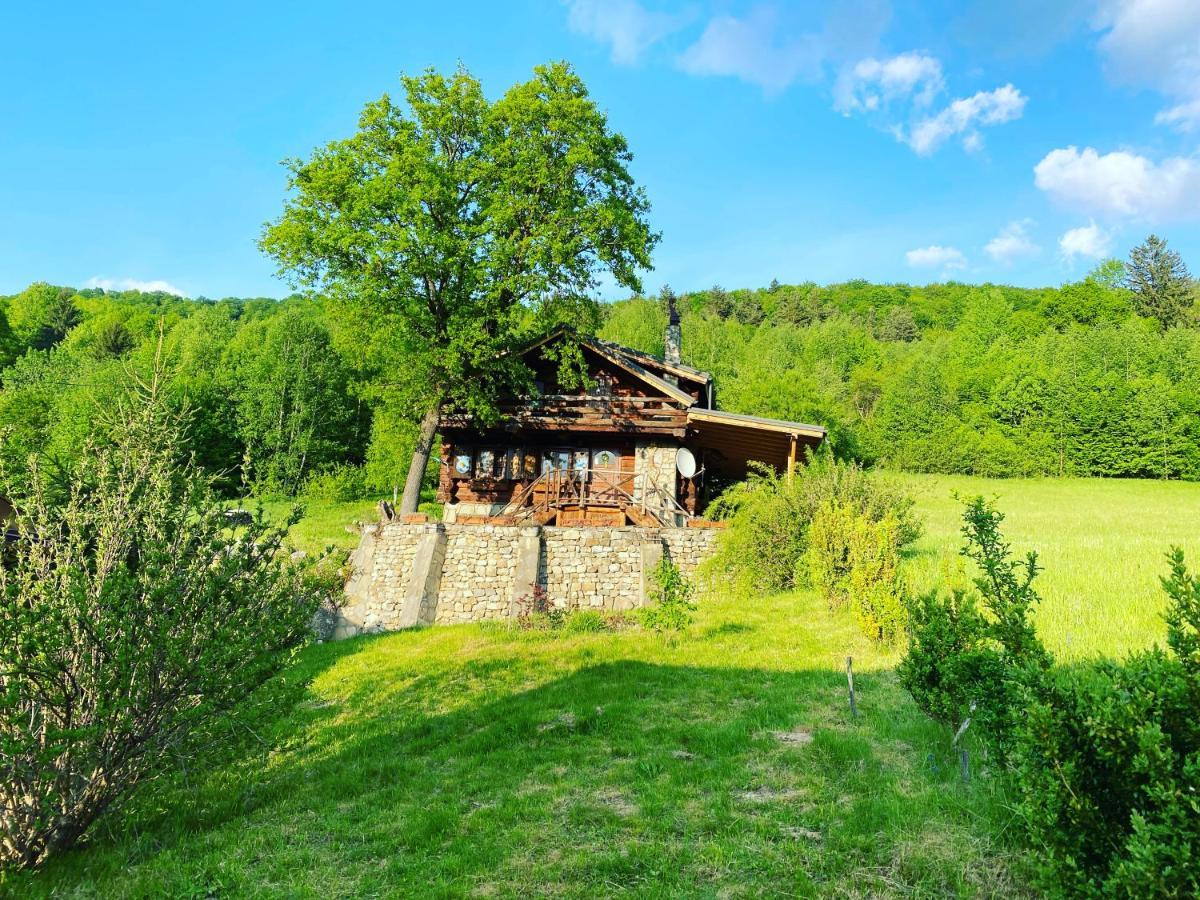 Cabana Vanatorului Rîşnov Buitenkant foto