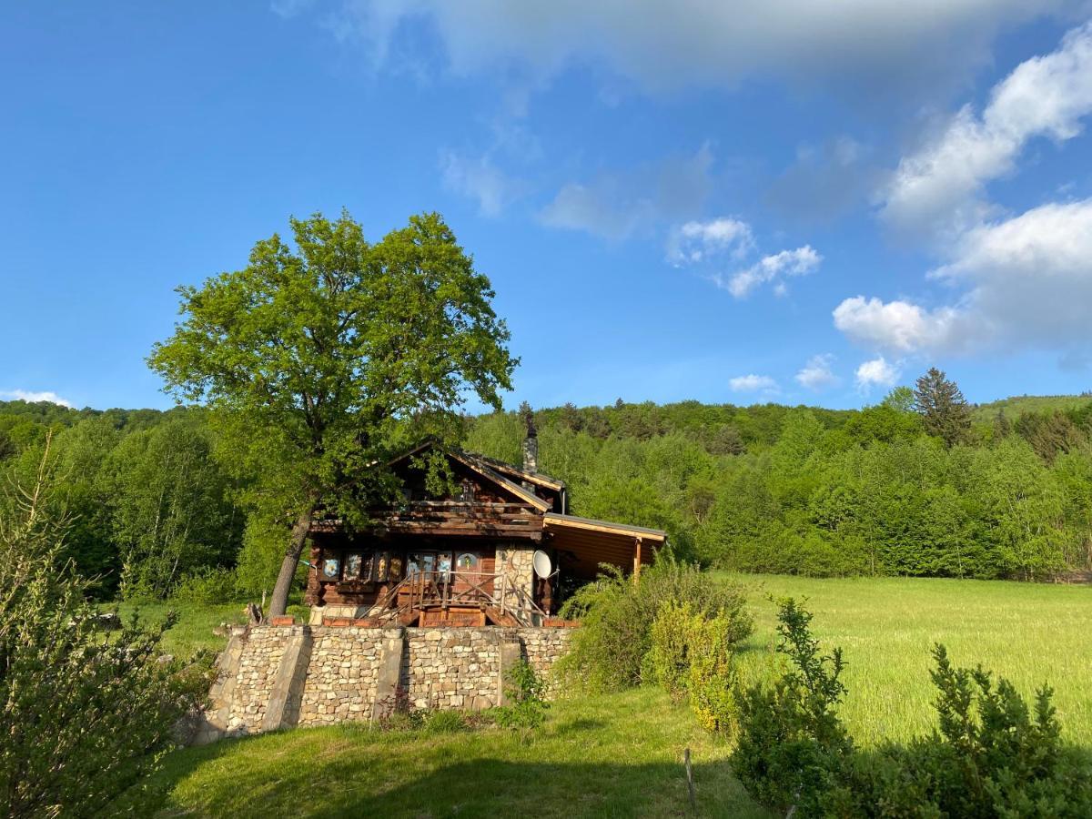 Cabana Vanatorului Rîşnov Buitenkant foto