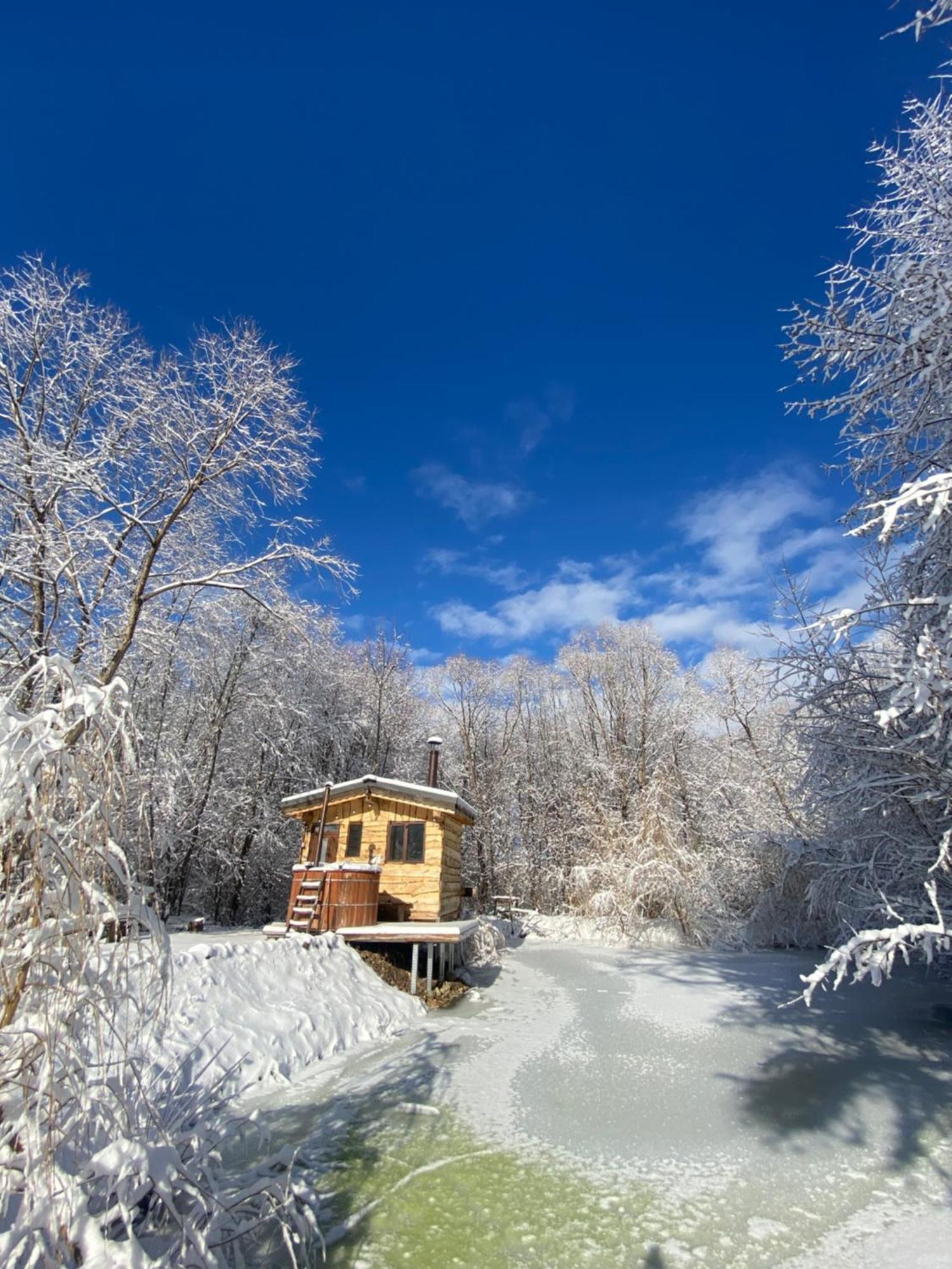 Cabana Vanatorului Rîşnov Buitenkant foto