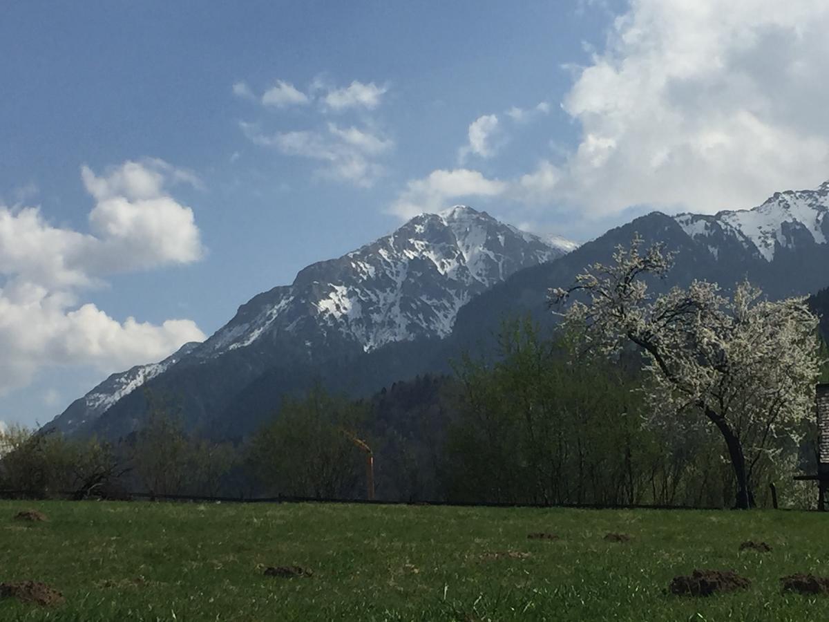 Cabana Vanatorului Rîşnov Buitenkant foto