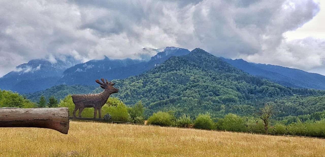 Cabana Vanatorului Rîşnov Buitenkant foto