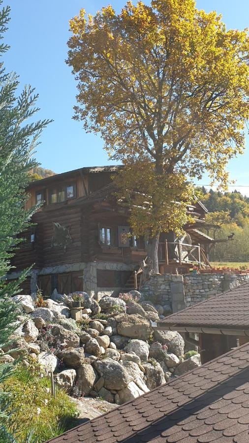 Cabana Vanatorului Rîşnov Buitenkant foto