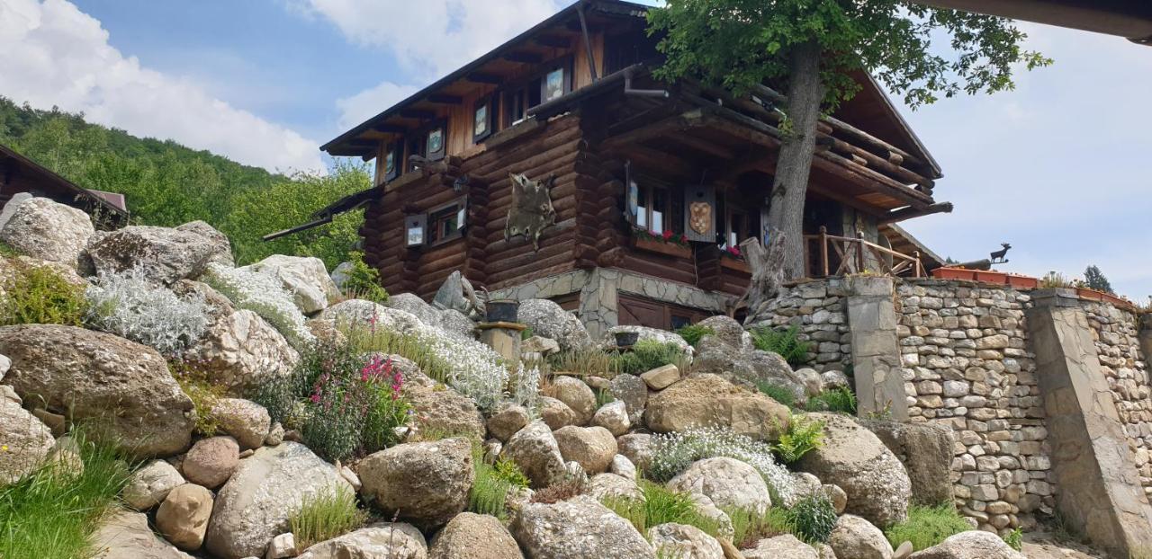 Cabana Vanatorului Rîşnov Buitenkant foto